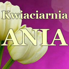 kwiaciarnia-ania-rzeszow-1.jpg